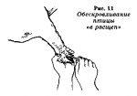 image005.png