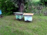 20160528_071847.jpg