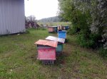 20160528_075444.jpg