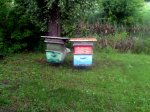 20160529_172918.jpg