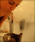 k.gif
