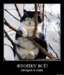 x_0bb83296.jpg