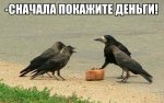 LaEI8gjI1FE.jpg