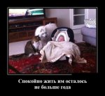 1456571151_prikolnye_demotivatory_xaxa_net_ru_24_800.jpg