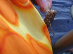 IMG_0835.JPG