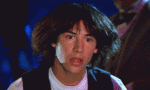 537.gif