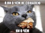 RifWof_I148.jpg