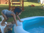 1464677396-64205572bdb8aa14e7503727a908c9eb.gif