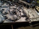 IMG_20160608_192423.jpg