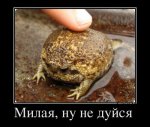 df4b2bb059d0.jpg