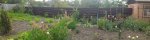 P_20160608_180538_PN.jpg