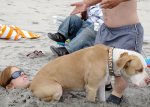 ashleys-album-pictures0.jpg