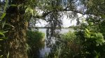 20160619_095030.jpg