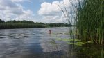 20160619_131113.jpg