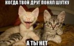 kogda-tvoj-drug-ponyal-shutku-a-ty-net-list.jpg