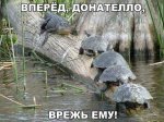 afPyf48ix0E.jpg