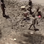 eimg-compressed.gif