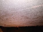 IMG_20160628_142308.jpg
