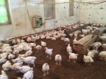 База Берег Полтавская область (2).JPG