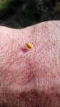 2016701080057.jpg