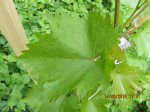 IMG_5876.JPG