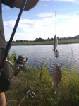 IMG_20160710_192720.jpg