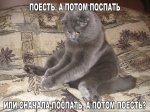 8200801.jpg