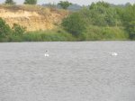 IMG_3532.JPG