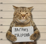 Снимок.PNG