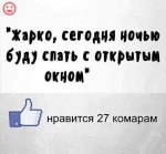 wQ5VrgbTE8_6851781_22674259.jpg