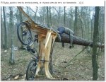 велосипед.jpg