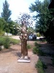 Фото-03101.jpg