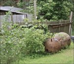 foto-prikoly-22072016-031.jpg