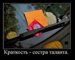 c7119fe3d5fb.jpg