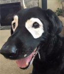 9975b0d16ee7.jpg