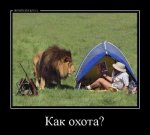 07ffd8df59c4.jpg