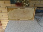 20160729_144729.jpg