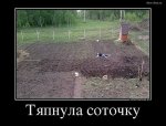 3a36423e4e14.jpg