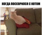 10786072.jpg