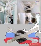 first.jpg
