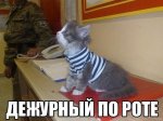 0e601d9920b8.jpg