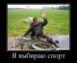 43667a2c6fc4.jpg
