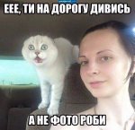 дорога.jpg