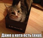 182994829ece.jpg