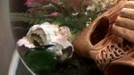 WP_20160823_00_29_18_Pro.jpg