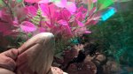 WP_20160823_00_28_25_Pro.jpg