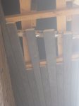 IMG_0443.JPG