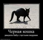 x_c3119377.jpg