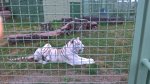WP_20160818_14_18_19_Pro.jpg