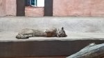 WP_20160818_14_23_21_Pro.jpg
